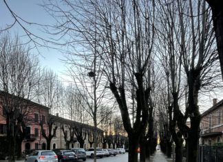 Al via la piantumazione di 62 alberi nel centro del paese