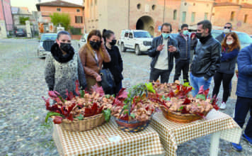 Caccia ai funghi: una gara orceana alla ricerca dei chiodini con la Pro loco