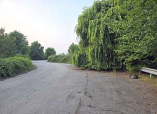 “Tangenzialina” di Orzivecchi: la “strada fantasma” in procinto di subire nuovi interventi